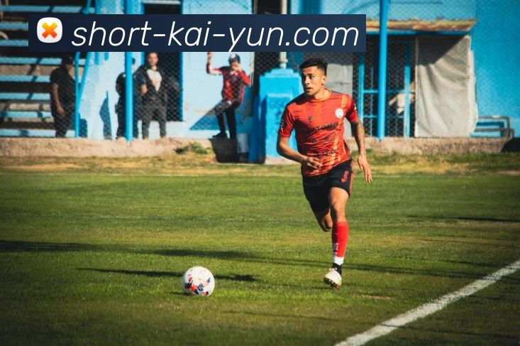 华体会官方入口平台生态图